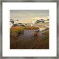Swans Aloft At Dawn Framed Print