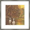 Swans Left - Happy Birthday Mum Framed Print