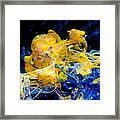 Swimming Elephant - Abstract Photography Wall Art Framed Print