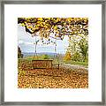 Swing With A View Framed Print