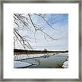 Sycamore Over Water Framed Print