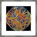 Symphony Framed Print