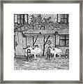 Table For Three Black And White Framed Print