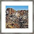 Table Mountain In Winter 42 Framed Print