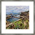 Take A Plunge Framed Print