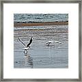 Take Off Framed Print