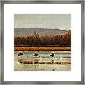 Takeoff Of The Cranes Framed Print