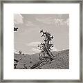 Talking Trees In Bryce Canyon Framed Print