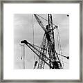 Tangled Crane Booms Framed Print