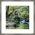 Tasmanian Rainforest Framed Print