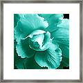 Teal Green Begonia Floral Framed Print