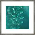 Teardrop In Turquoise Framed Print