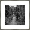 Telluride Stream Framed Print