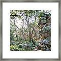 Temple Guardian Lingying Monastery Framed Print