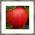 Temptations Framed Print