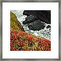 Tepona Point Framed Print