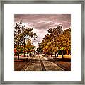 Terrell Mall On The Washington State Campus Framed Print