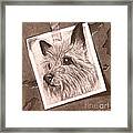Terrier As Optical Illusion Framed Print