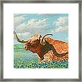 Texas Framed Print