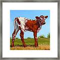 Texas Longhorn New Calf Framed Print