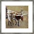 Texas Longhorns Framed Print