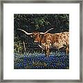 Texas Traditions Framed Print