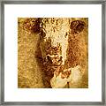Textured Hereford Cow Framed Print