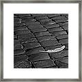 Textures Framed Print