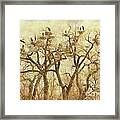 Thats A Lot Of Great Blue Heron Framed Print