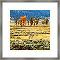 The Antelope's Palace Framed Print