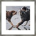 The Argument Framed Print