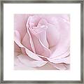 The Ballerina Pink Rose Flower Framed Print