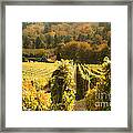 The Beautiful Willamette Valley Framed Print