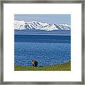 The Big Wide Open Framed Print