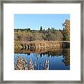 The Blue Mirror Framed Print