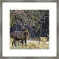 The Boxley Stud In November Frost Framed Print