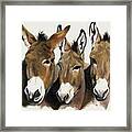 The Brothers Three Framed Print