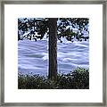 The Bulkley River Framed Print