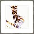 The Calico Cat That Walked By Himself Framed Print