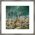 The Calm In The Storm Ii Framed Print