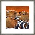 The Capybara Club... Framed Print