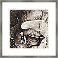 The Castoff Pair Of Old Boxing Gloves Framed Print