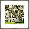 The Cat Guarding The Castle Framed Print
