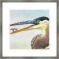 The Catch Framed Print