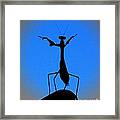 The Conductor Framed Print