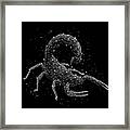 The Constellation Of Scorpion Framed Print