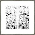 The Cross Framed Print