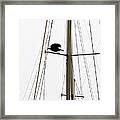 The Crow Leaving The Absent Crows Nest Framed Print