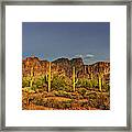 The Desert Aglow Framed Print