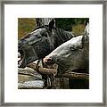 The Double Yawn Framed Print